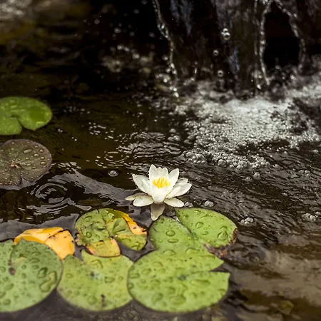 게스트하우스 & Wellness Meridiana 4*