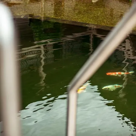 Guest house & Wellness Meridiana